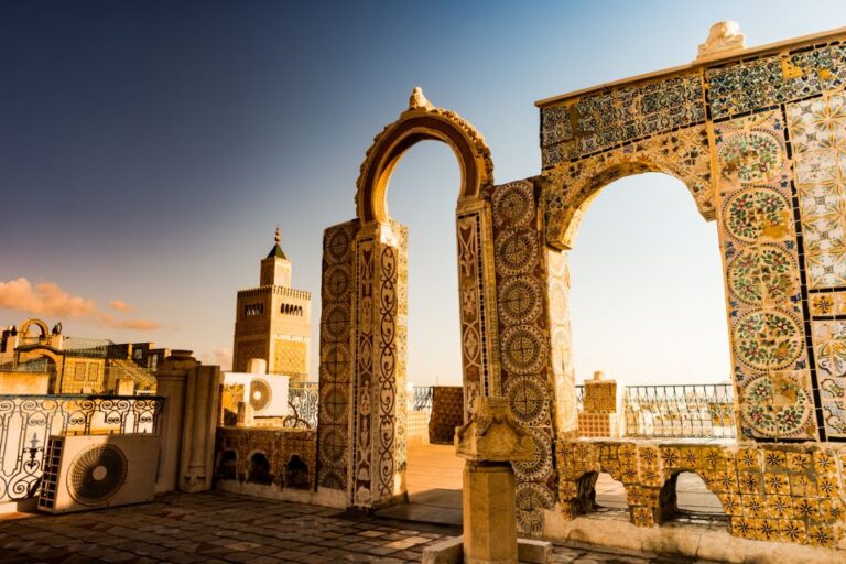 Tunis: Carthage, Sidi Bou Said and Medina Private Day Trip