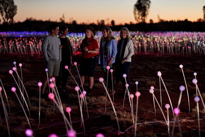 Uluru (Ayers Rock) Field of Light Sunrise Tour