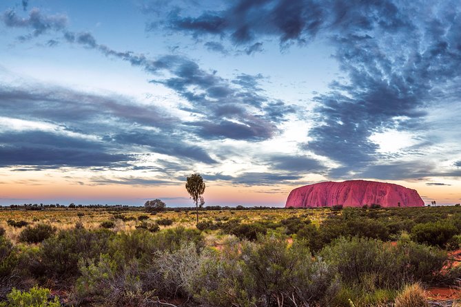Uluru Sunset BBQ - What to Expect on Tour