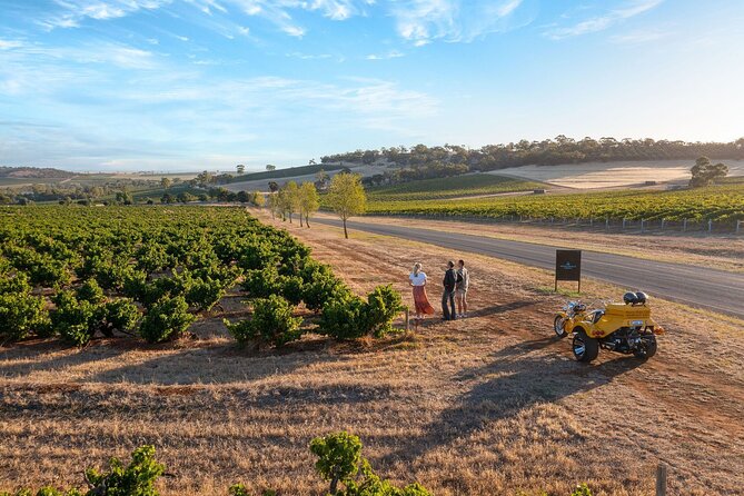 Unique Trike Barossa Valley Half Day Private Tour For 2 - Explore Barossa Valley in Style