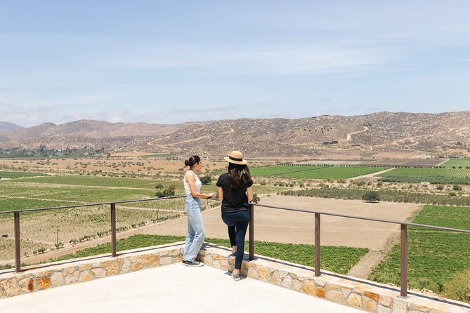 Valle De Guadalupe: Private Wineries Tour  – Ensenada