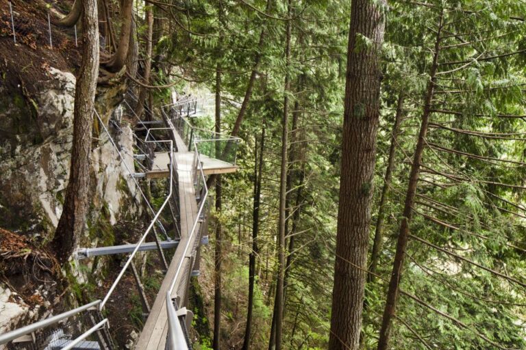 Vancouver: City Tour With Capilano Suspension Bridge