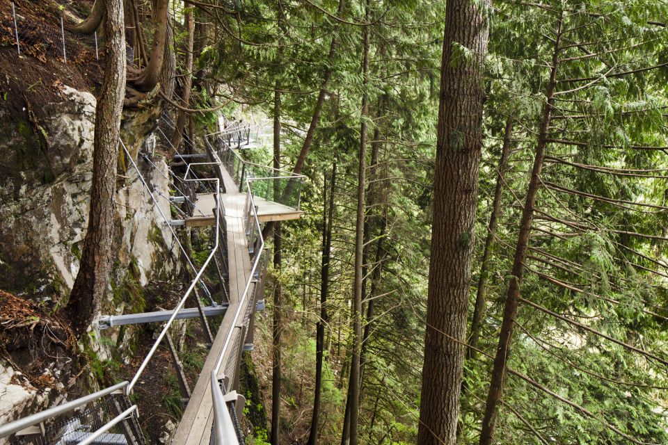 Vancouver: City Tour With Capilano Suspension Bridge - Tour Highlights