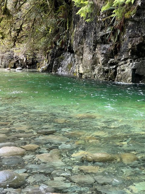 Vancouver: Rainforest Waterfall Hike and Suspension Bridge