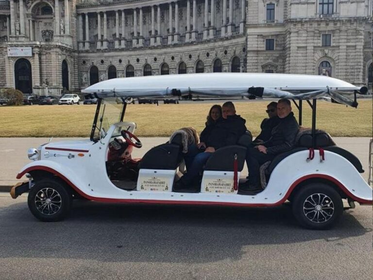 Vienna: Sightseeing Tour in an 8 Seats Electric Classic Car