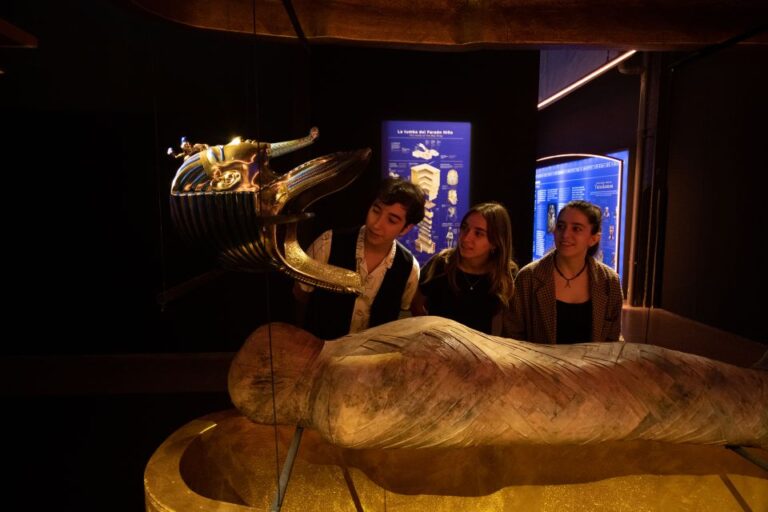 Vienna: Tutankhamun The Immersive Exhibition Entry Tickets