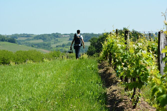 Visit to Château Du Cros and Introduction to Wine Tasting