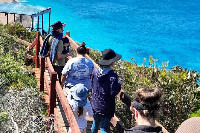 Walk on Country at Taananeditj (Rotary Lookout)[INPUT TEXT TRANSLATED INTO English]: Walk on Country at Taananeditj (Rotary Lookout) - Cultural Heritage and History