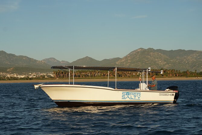 Whale Watching Group Tour in San Jose Del Cabo