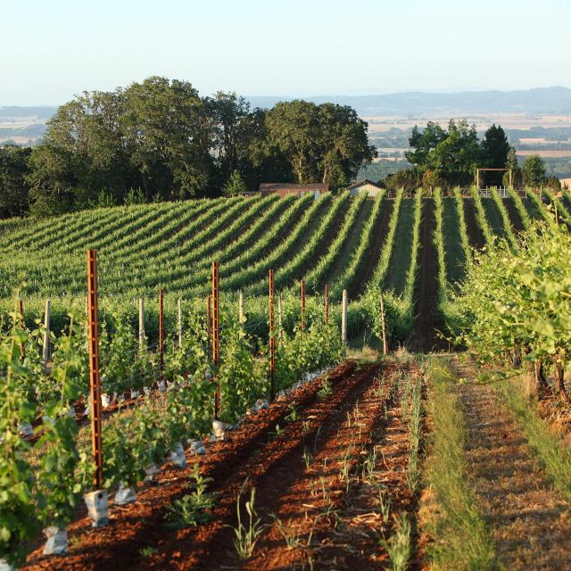 Willamette Valley Wine Tour: a Journey for the Senses - Duration and Logistics of the Tour