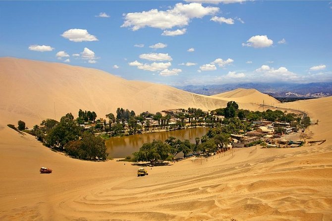 Wine, Pisco and Dune Buggy Experience