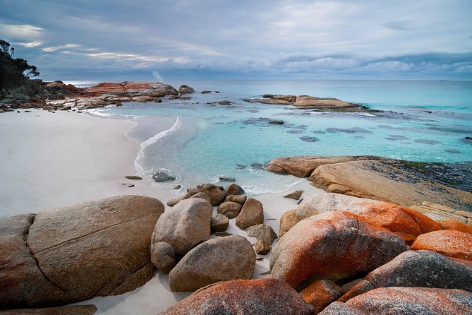 Wineglass Bay Day Tour Private Charter Service - Discover Wineglass Bays Beauty