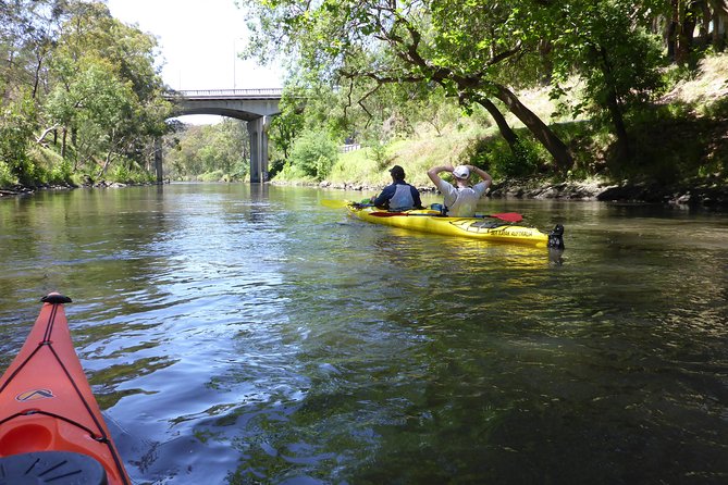Yarra River Kayak Hire - About Yarra River Kayaking