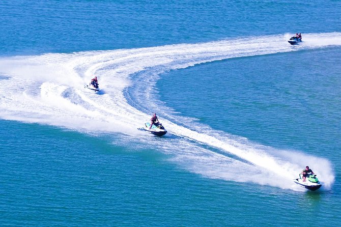 1hr Jet Ski Safari - Wildlife Encounters Guaranteed