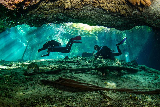 2 Different Divings in Dos Ojos Cenote for Certified Divers in Tulum - Equipment and Gear