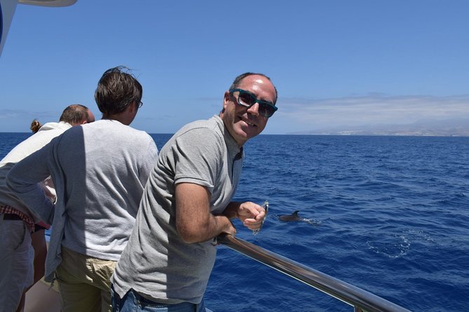 2-Hour Dolphin and Whale Watching in Gran Canaria - Cancellation Policy
