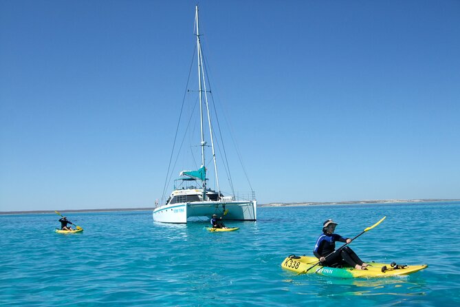 3 Night Ningaloo Reef Snorkel and Dive Getaway From Coral Bay - What to Expect On Board