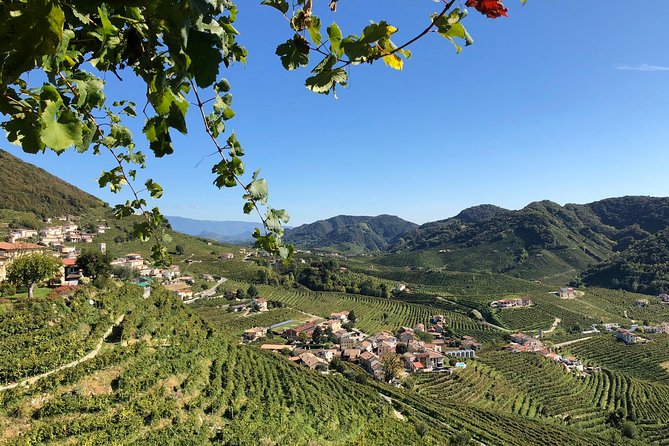 A Sparkling Day in the Prosecco Hills- From Venice - Scenic Drive to Prosecco Hills