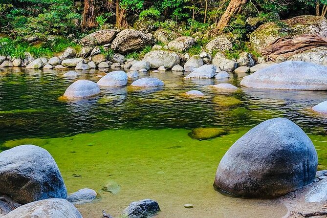 Affordable Return Mossman Gorge From Port Douglas Transfers - Inclusions and Amenities