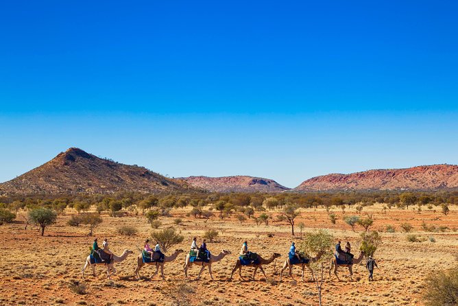 Alice Springs Camel Tour - Camel Riding Experience Details