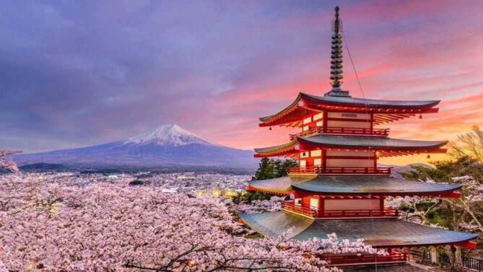 Alpha Japan With Mt.Fuji - Exploring the Magnificent Mt. Fuji