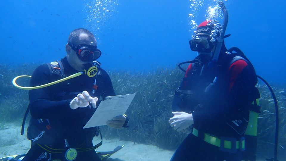 Andros: Get Your Padi Open Water Certificate! - Provider Information