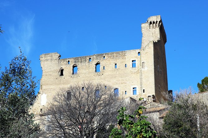 Avignons History, Local Culture & the Wines of Châteauneuf Du Pape Private Tour - Culinary Delights