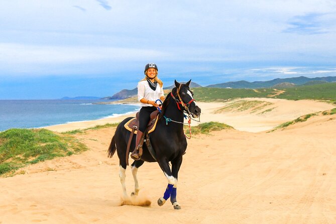 Baja Sur Adventure Tour in Los Cabos  - Cabo San Lucas - Inclusions and Amenities