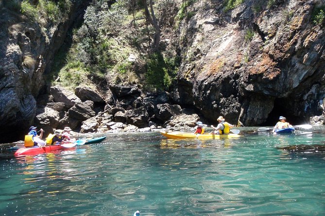 Batemans Bay Glass-Bottom Kayak Tour Over 2 Relaxing Hours - Your Expert Guide and Safety