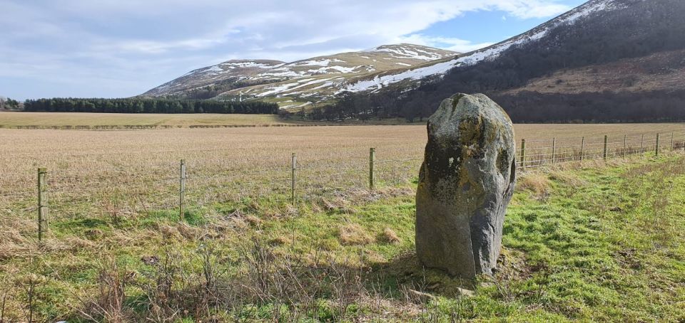 Berwick: Anglo-Scottish Border and Norham Castle Guided Tour - Activity Description