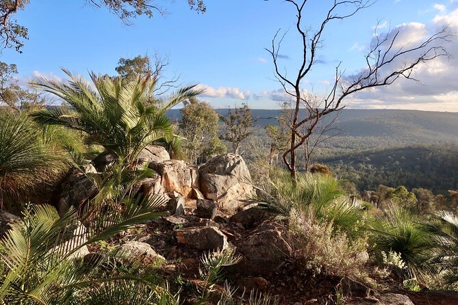 Bibbulmun Track Multi-Day Hike and Camp to the Darling Range - What to Expect on Trail