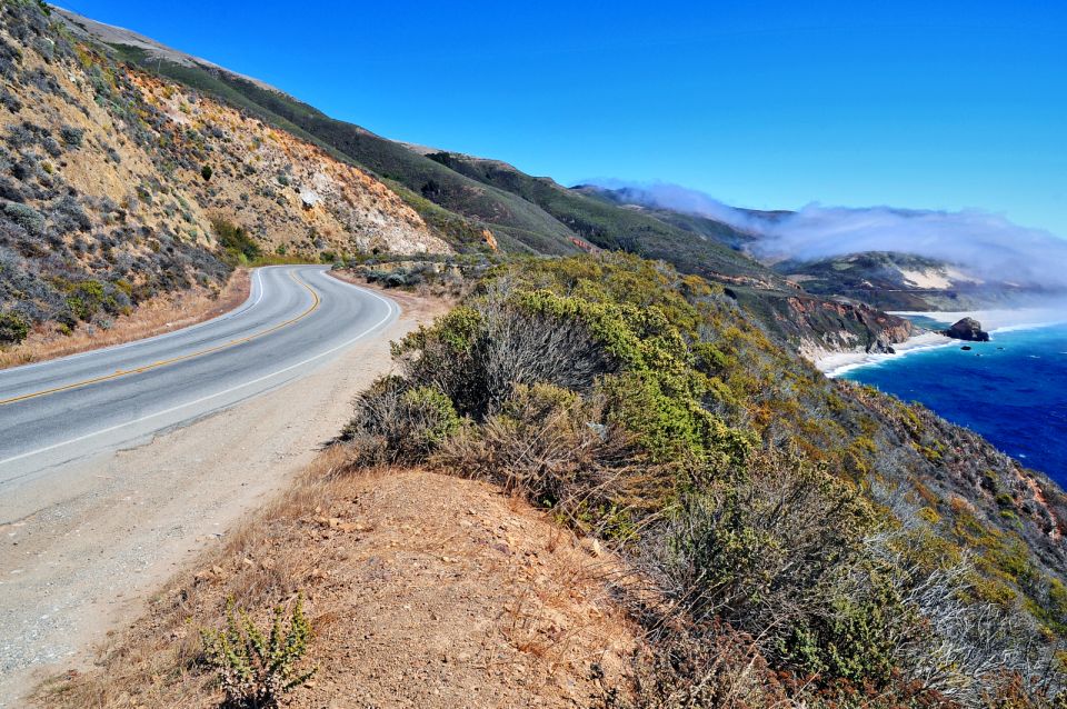 Big Sur: Sightseeing Tour With 4 to 5 Stops - Nature Walk Experience