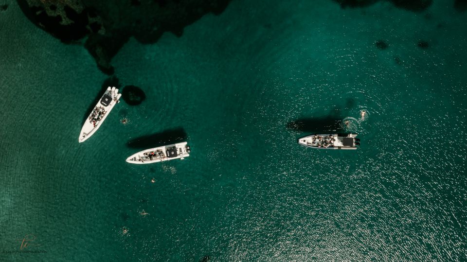 Boat Trip: Ajaccio - Scandola Reserve - Inclusions