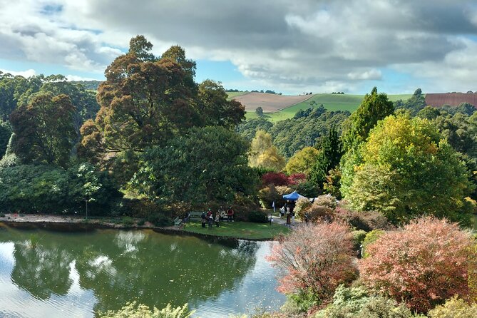 Burnie Sightseeing Tour - Exploring Tasmanias Wilderness