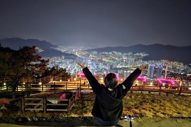 Busan Glowing Panorama Private Night Tour for Max 6 Guests - Whats Included in the Tour