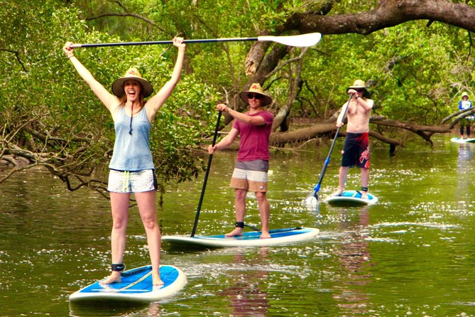 Byron Stand Up Paddle Nature Tour - Whats Included in the Tour