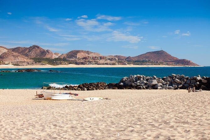 Cabo Pulmo National Park Snorkel Expedition From Cabo San Lucas - Traveler Experiences and Reviews