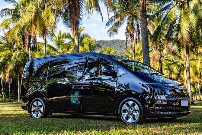 Cairns to Port Douglas (One Way) Private Transfer 1 to 6 Pax - Drop-off Locations and Schedule