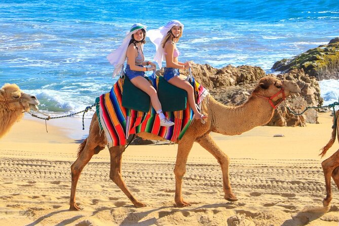 Camel Ride and UTV Combo Adventure, With Tequila Tasting - Positive Experiences and Recommendations