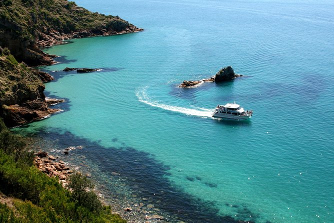 Cape Woolamai Sightseeing Cruise From San Remo - Inclusions and Exclusions