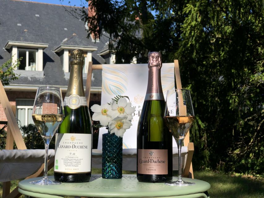 Champagne: Organic Champagne Tasting - What to Expect From Experience