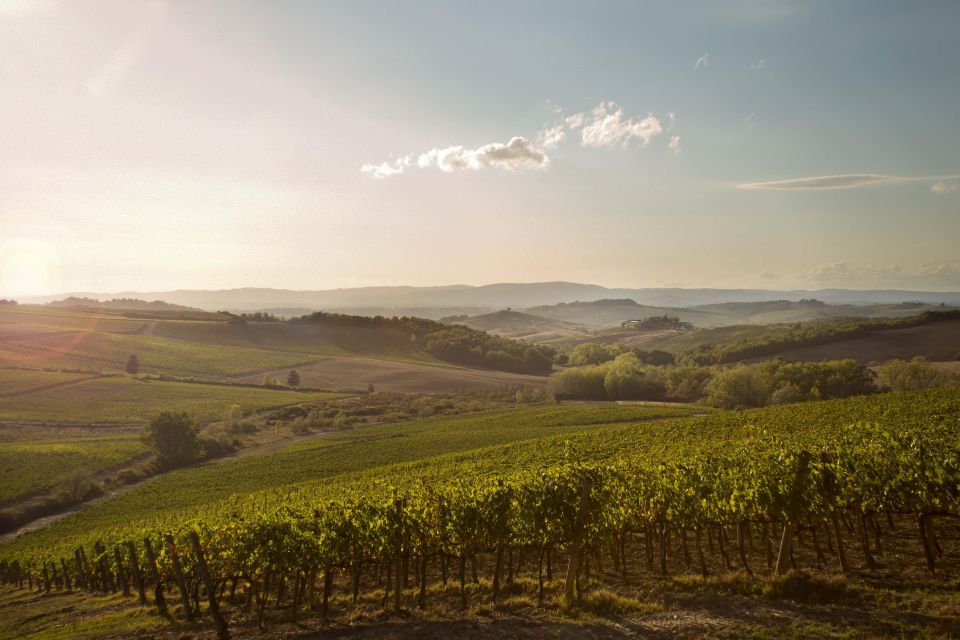 Chianti Classico and Super Tuscan Wine Tour - Pricing Information