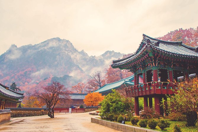 Classic Naejangsan National Park One Day Tour (Autumn Limited） - What to Expect and Schedule