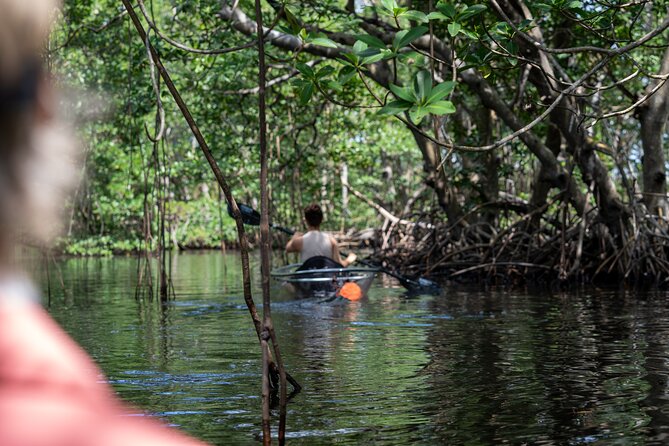Clear Kayak Tour in North Miami Beach - Mangrove Tunnels - Inclusions