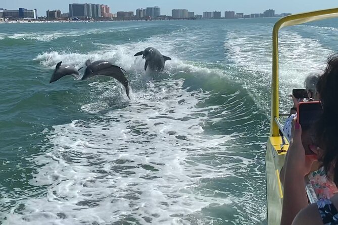 Clearwater Beach Dolphin Speedboat Adventure With Lunch & Transport From Orlando - Itinerary Details