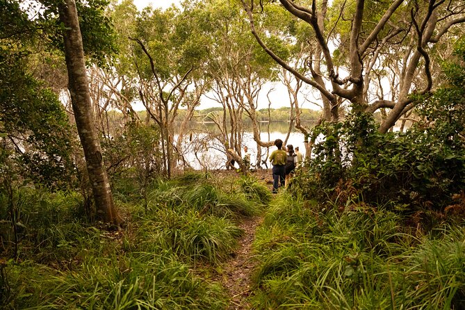 Coastal Nature Full-Day Walking Tour in Lennox Head - What to Expect on the Tour