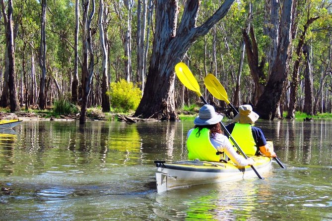 Cohuna Lagoon 3 Hour Kayak Eco Tour - Essential Safety Information