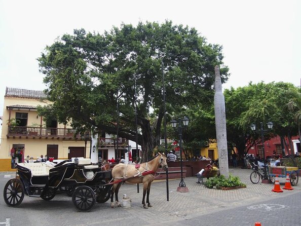 Colombia Small Group Literary Walking Tour  - Cartagena - Logistics and Meeting Point