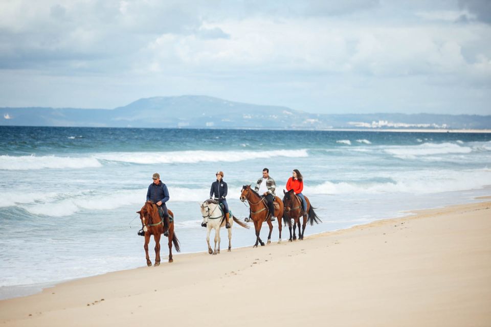 Comporta: Guided Horseback Riding Experience - Activity Highlights