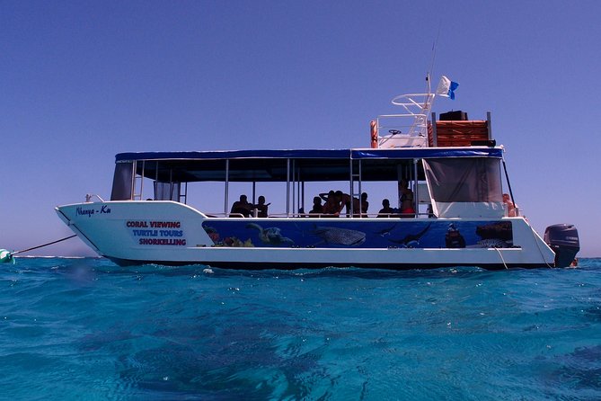 Coral Bay 1-Hour Coral Viewing - What Youll See and Experience